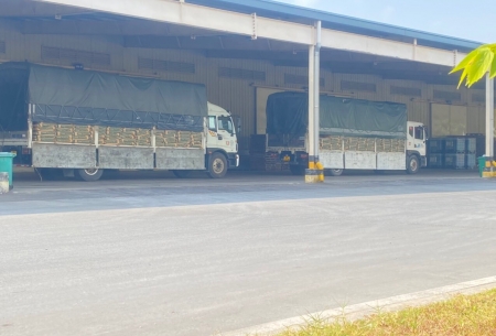 Vận tải Bắc Ninh 